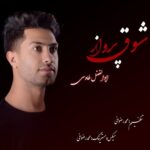 دانلود آهنگ جدید شوق پرواز از ابوالفضل طاووسی
