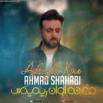 دانلود آهنگ جدید عاشقی کن دی جی الوان از احمد شهابی