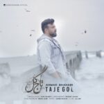 دانلود آهنگ جدید تاج گل از احمد شهابی