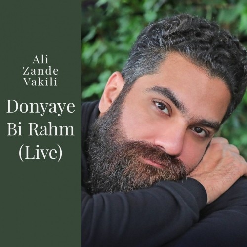 دانلود آهنگ جدید علی زند وکیلی به نام دنیای بی رحم اجرای زنده