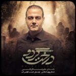 دانلود آهنگ جدید درخت گردو از علیرضا قربانی