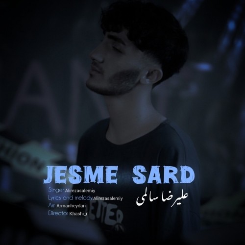 دانلود آهنگ جدید علیرضا سالمی به نام جسم سرد