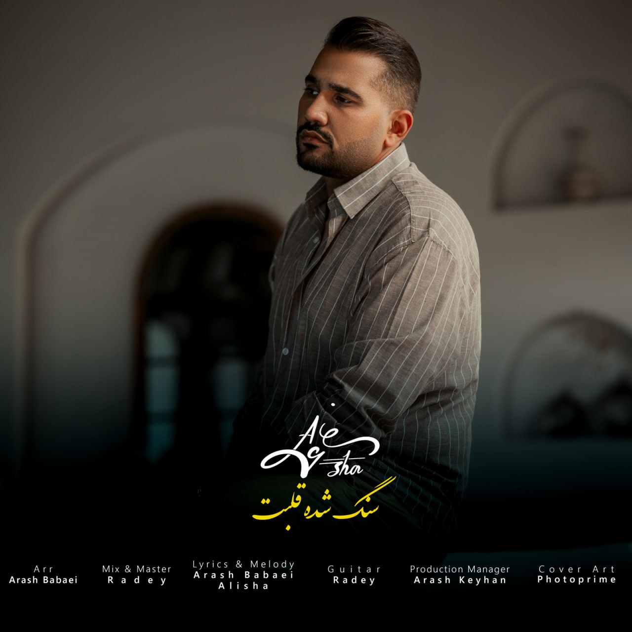 دانلود آهنگ جدید علیشا به نام سنگ شده قلبت