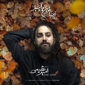 امیر عظیمی