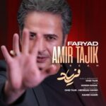 دانلود آهنگ جدید فریاد از امیر تاجیک