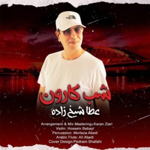 عطا شیخ زاده
