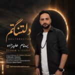 دانلود آهنگ جدید دلتنگتم از بهنام علیزاده