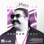 دانلود آهنگ جدید شب عشق از بهنام بانی