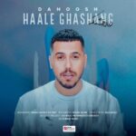 دانلود آهنگ جدید حال قشنگ از دانوش