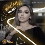 دانلود آهنگ جدید شب بیداری 6 از دیجی سلیم