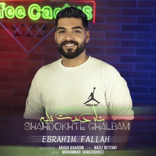 دانلود آهنگ جدید ابراهیم فلاح به نام شاه دخت قلبم