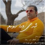 دانلود آهنگ جدید شدی ورد زبونم از احسان رسام