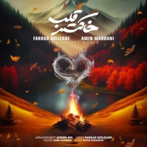امین مردانی