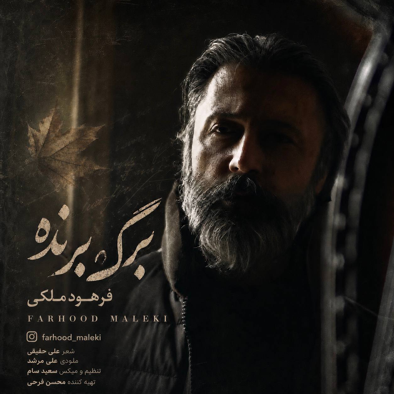 دانلود آهنگ جدید فرهود ملکی به نام برگ برنده