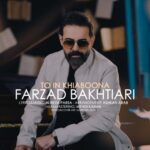 دانلود آهنگ جدید تو این خیابونا از فرزاد بختیاری