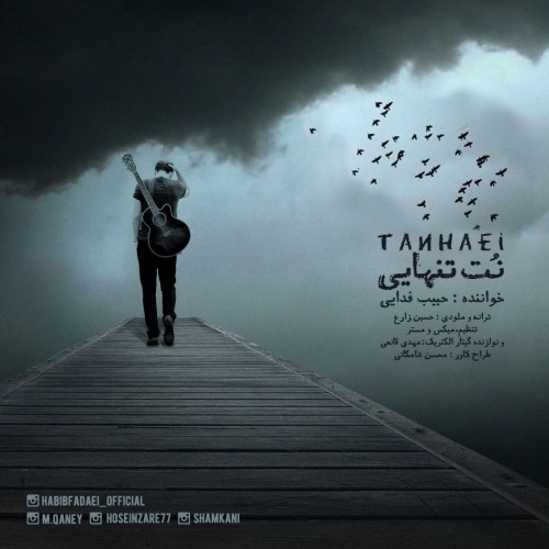 دانلود آهنگ جدید حبیب فدایی به نام نت تنهایی