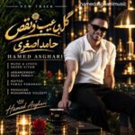 دانلود آهنگ جدید گل بی عیب و نقص از حامد اصغری