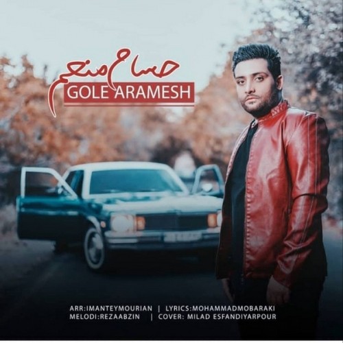 دانلود آهنگ جدید حسام منعم به نام گل آرامش