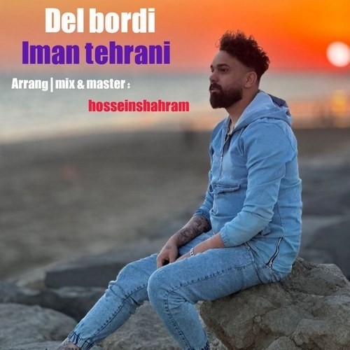 دانلود آهنگ جدید ایمان تهرانی به نام دل بردی