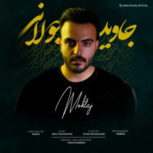 جاوید جولانی