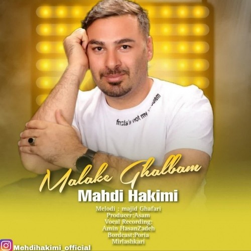 دانلود آهنگ جدید مهدی حکیمی به نام ملکه قلبم