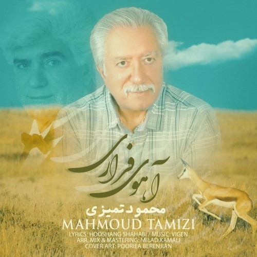 دانلود آهنگ جدید محمود تمیزی به نام آهوی فراری