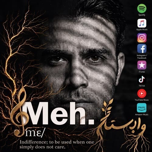 دانلود آهنگ جدید مه دی یوسفی به نام ریشه در وابستگی