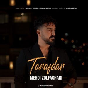 مهدی ذوالفقاری
