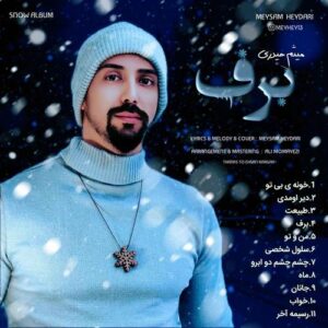 میثم حیدری