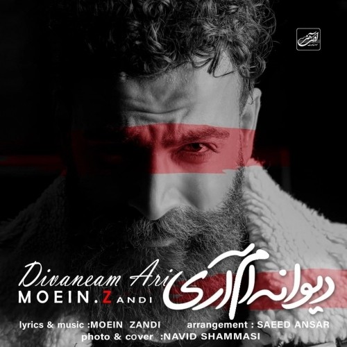 دانلود آهنگ جدید معین زد به نام دیوانه ام آری