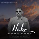 دانلود آهنگ جدید نبض از محمد محمدی