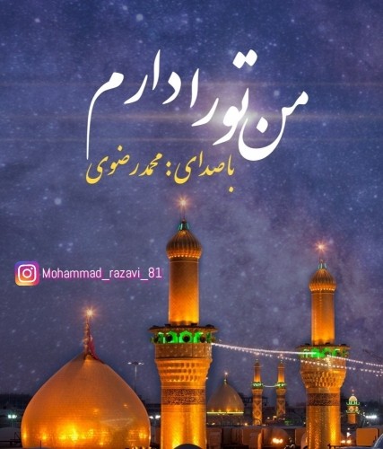 دانلود آهنگ جدید محمد رضوی به نام من تو را دارم
