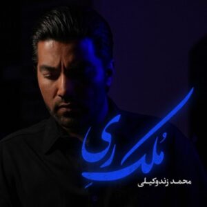 محمد زندوکیلی