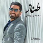 دانلود آهنگ جدید طناز از محمد زندوکیلی