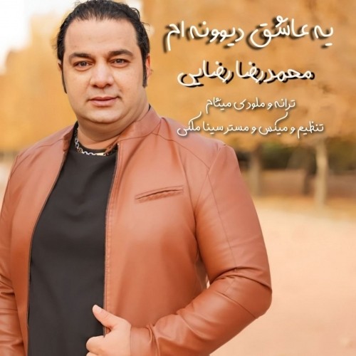 دانلود آهنگ جدید محمدرضا رضایی به نام یه عاشق دیوونه ام
