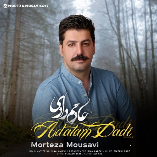 دانلود آهنگ جدید مرتضی موسوی به نام عادتم دادی
