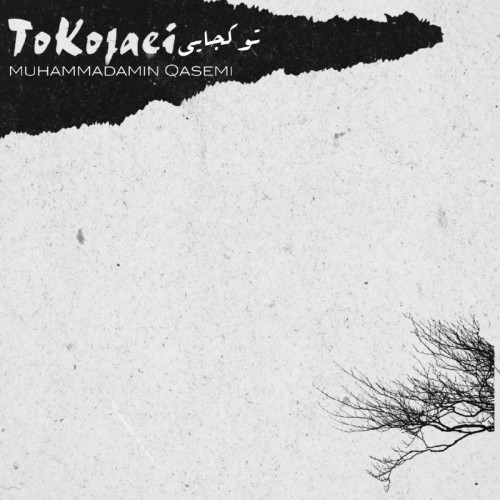 دانلود آهنگ جدید محمدامین قاسمی به نام تو کجایی