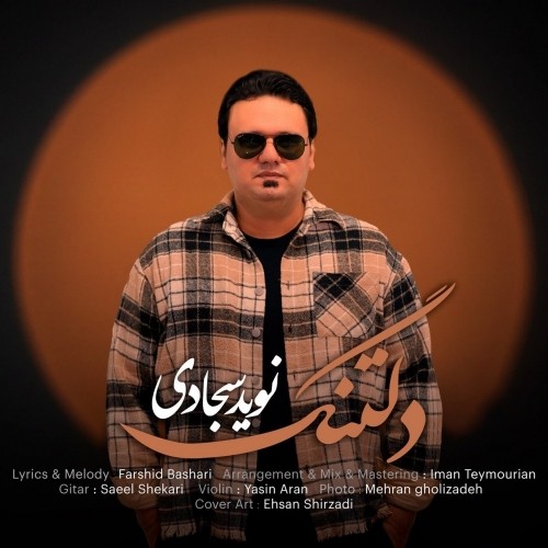 دانلود آهنگ جدید نوید سجادی به نام دلتنگ