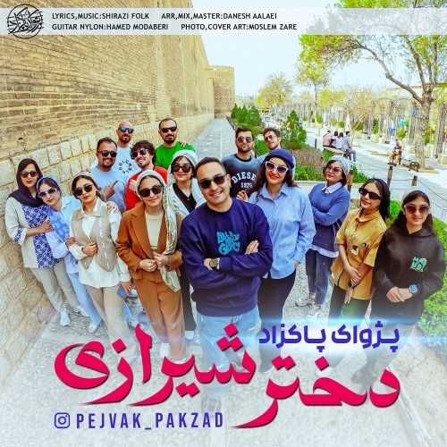 دانلود آهنگ جدید پژواک پاکزاد به نام دختر شیرازی