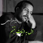 دانلود آهنگ جدید دل به دنیات نبستم از پویان اسدی