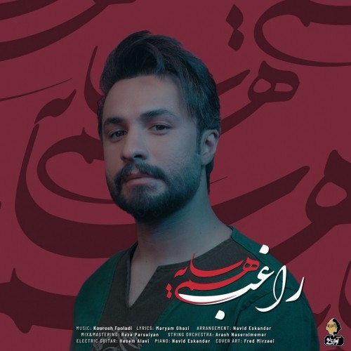 دانلود آهنگ جدید راغب به نام هم سایه