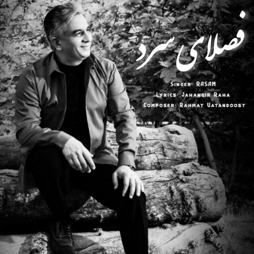 دانلود آهنگ جدید رسام به نام فصلای سرد