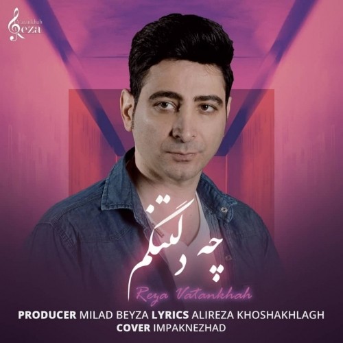 دانلود آهنگ جدید رضا وطن خواه به نام چه دلتنگم