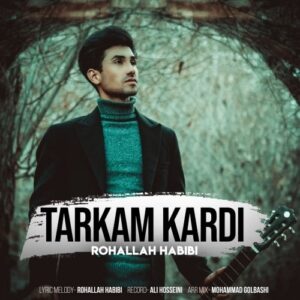 روح الله حبیبی