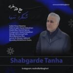 دانلود آهنگ جدید شبگرد تنها از روح الله باقری
