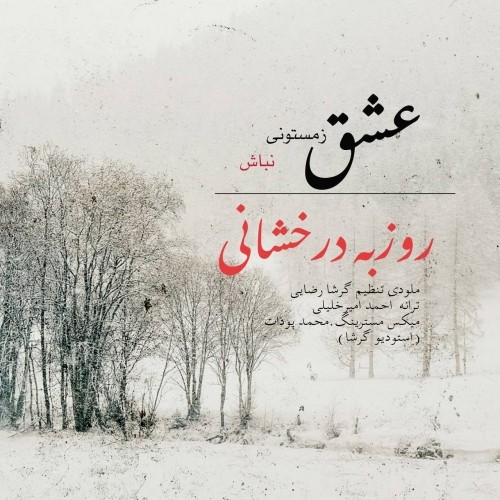 دانلود آهنگ جدید روزبه درخشانی به نام عشق زمستونی نباش