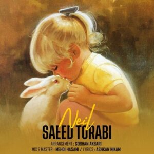 سعید ترابی