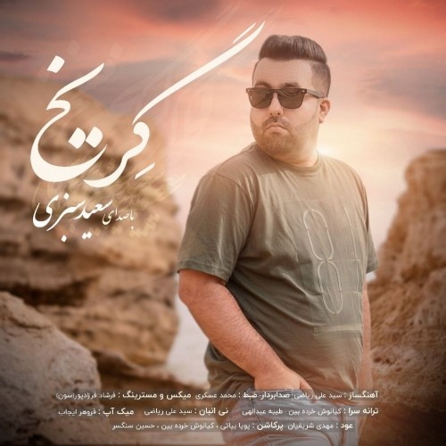 دانلود آهنگ جدید سعید سبزی به نام گریخ