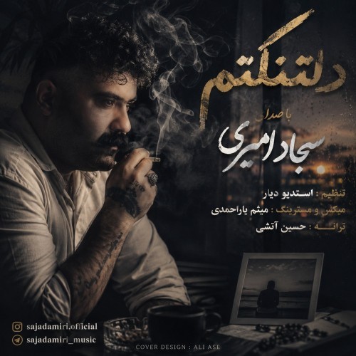 دانلود آهنگ جدید سجاد امیری به نام دلتنگتم