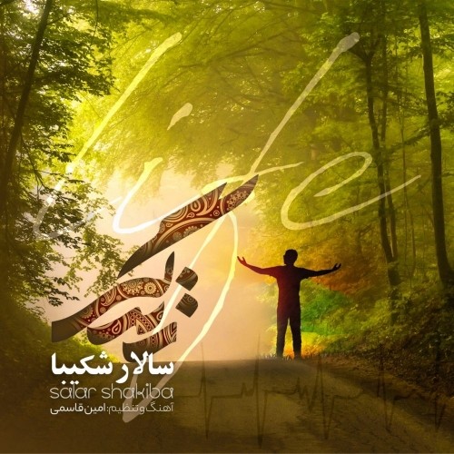 دانلود آهنگ جدید سالار شکیبا به نام زندگی